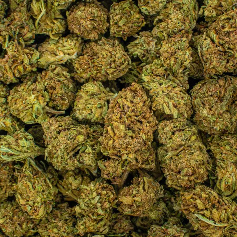 Black Amber THCA Flower