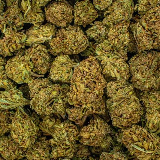 Black Amber THCA Flower